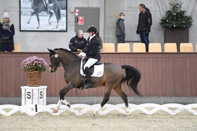 DSP Patrik af hvarre billede 3