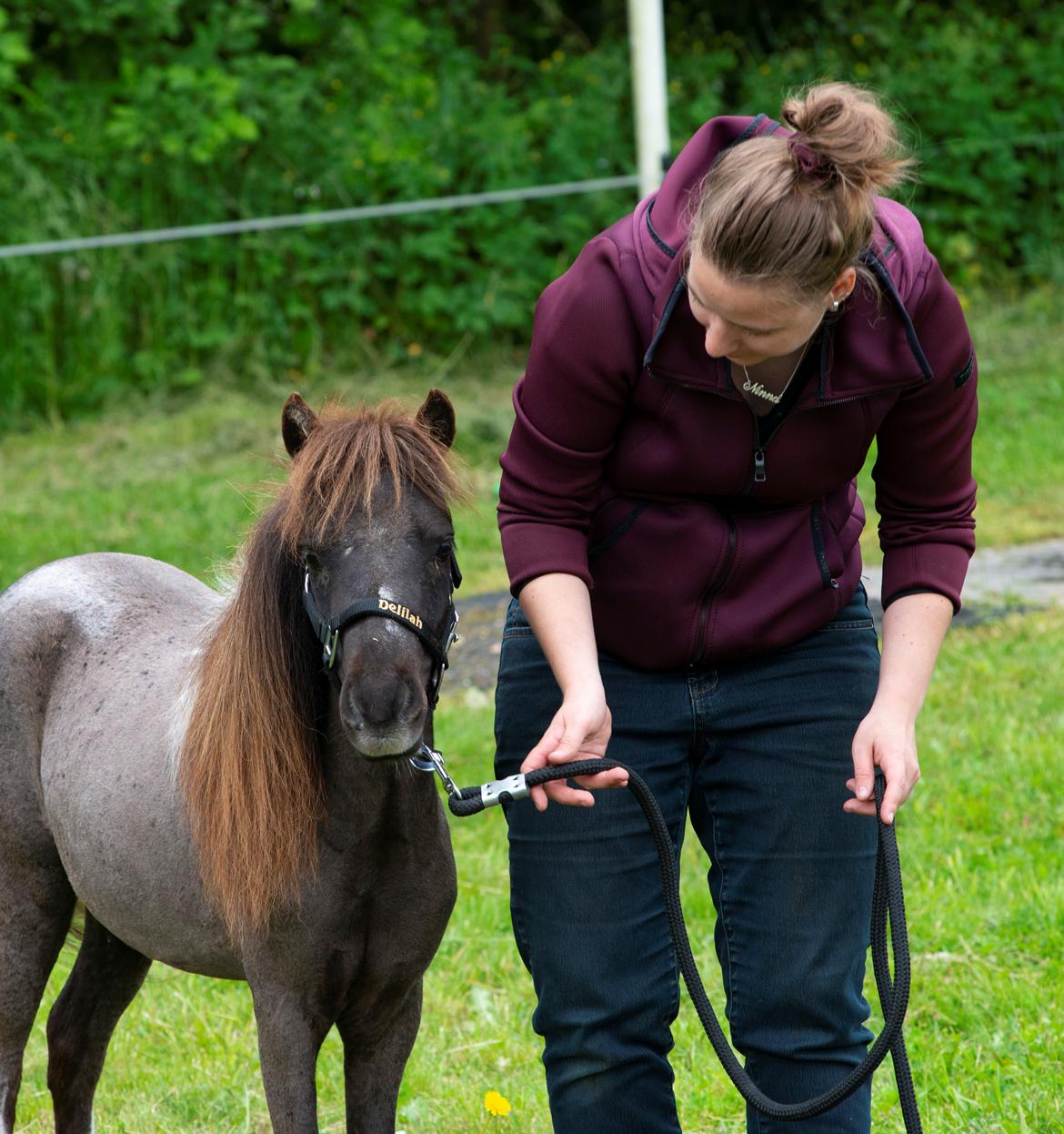 Amerikansk Miniature Teglmosens Delilah West billede 11