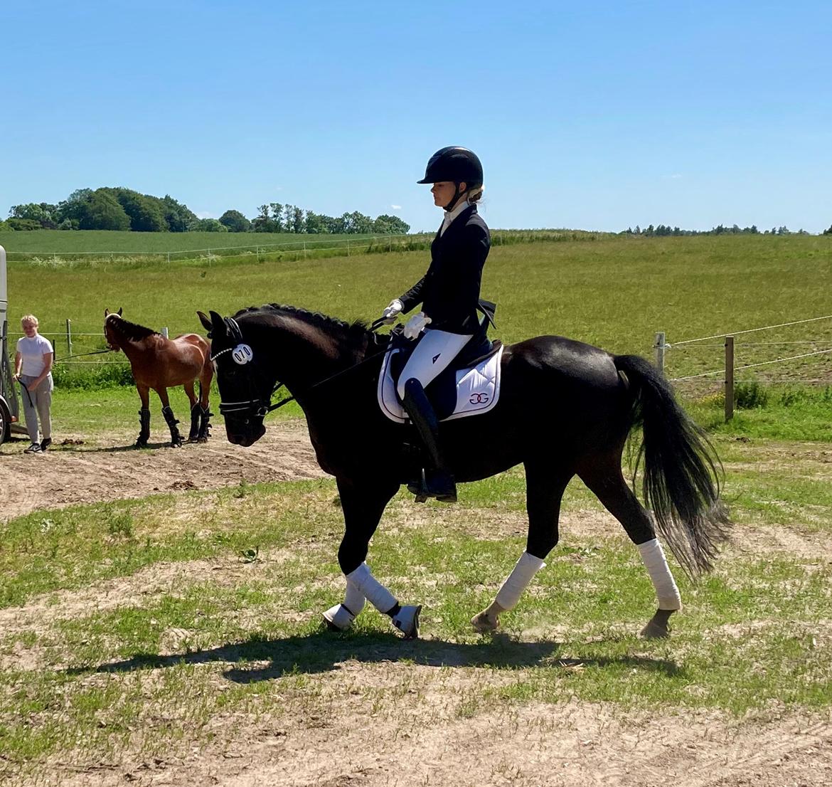 DSP Brilliant-Lau billede 13