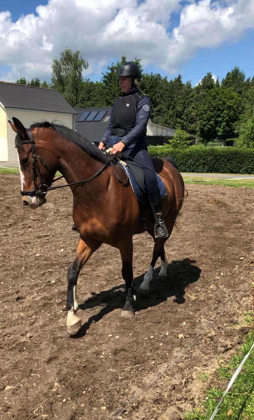 Anden særlig race Marguerit's nemo billede 19