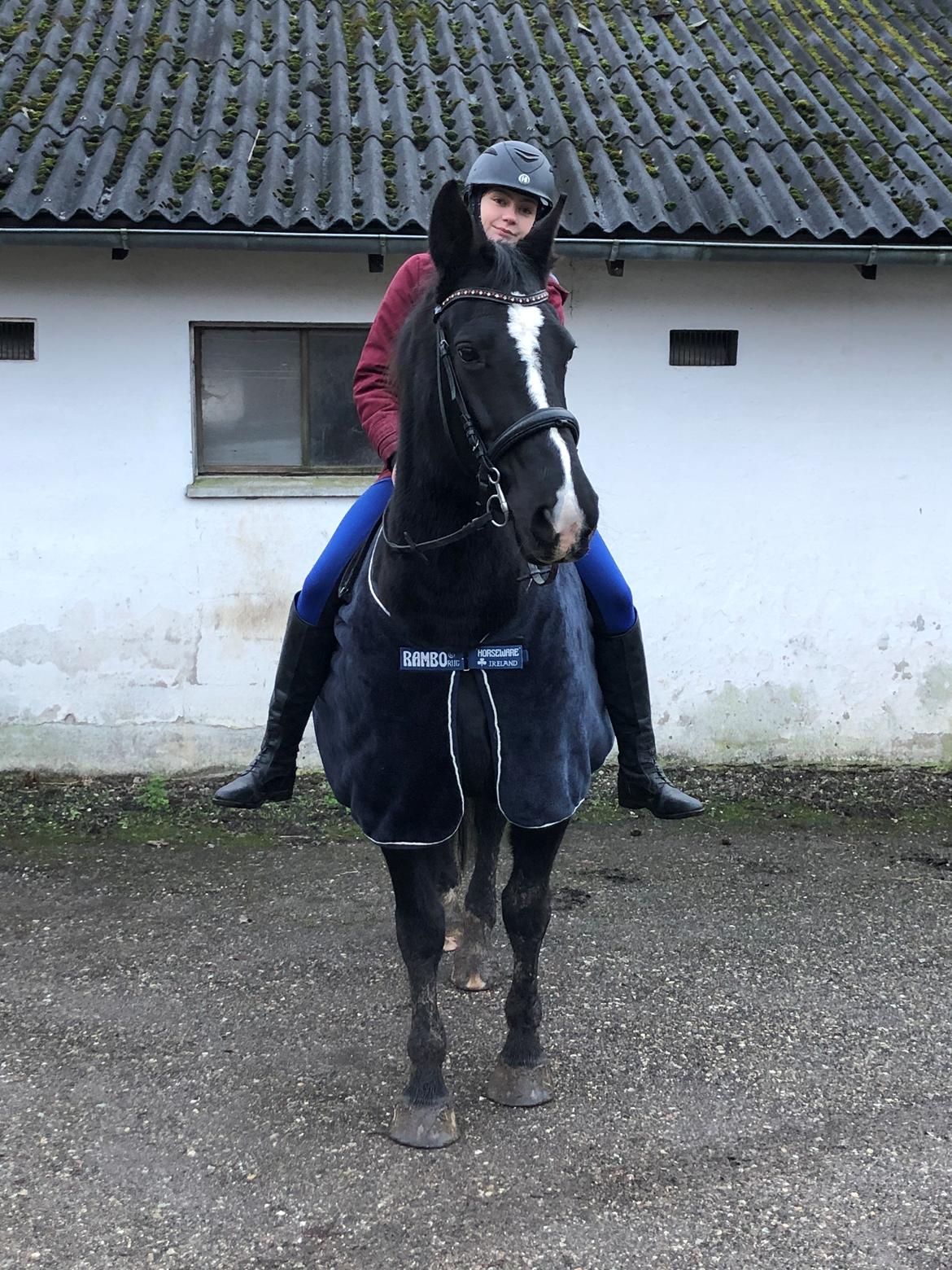 Oldenborg Gitte hjortelund billede 2