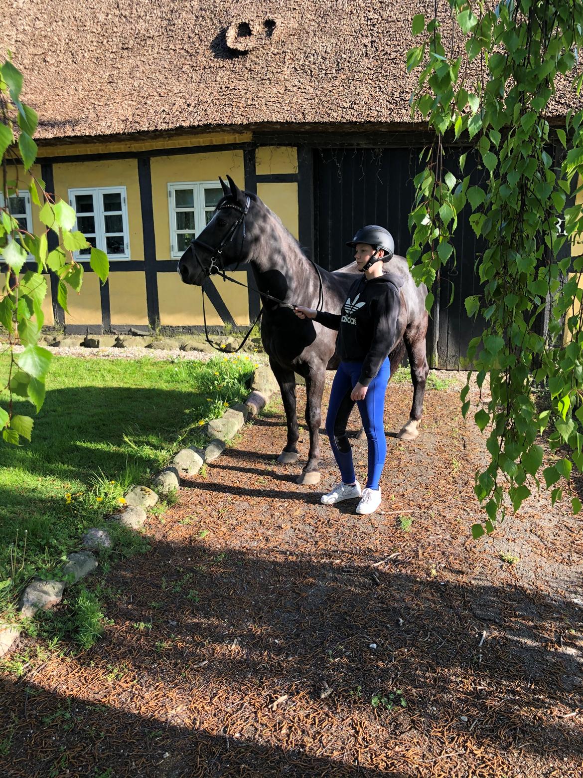 Oldenborg Gitte hjortelund billede 4