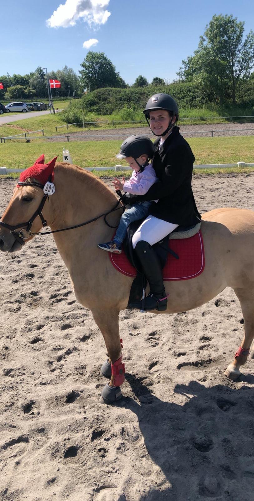 Anden særlig race Adonis billede 14