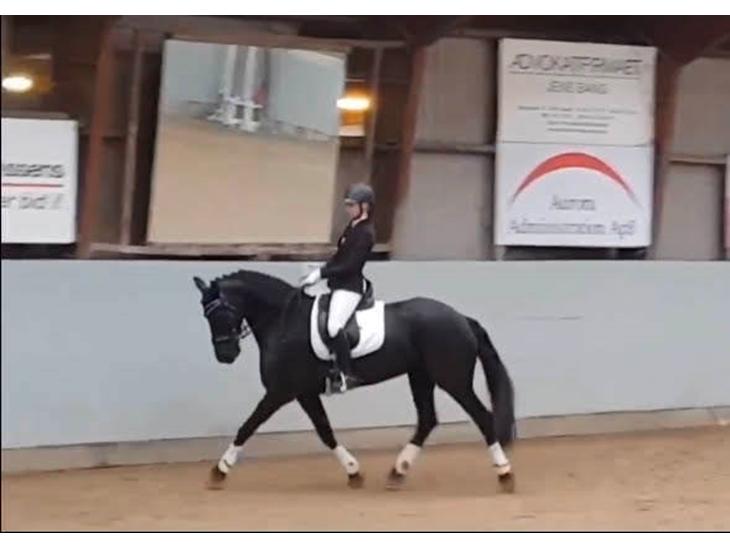 {{currentPhoto.altText}} billede {{currentPhoto.number}}