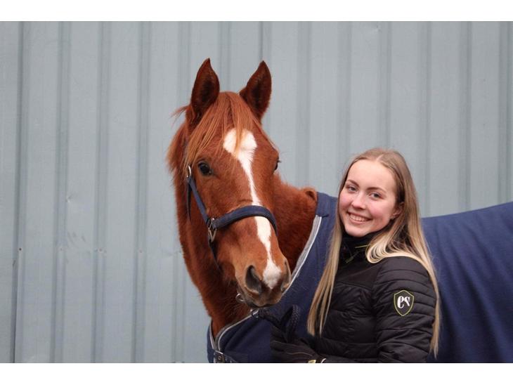 {{currentPhoto.altText}} billede {{currentPhoto.number}}