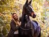 Anden særlig race Bobbiesocks May Beauty [Himmelhest]