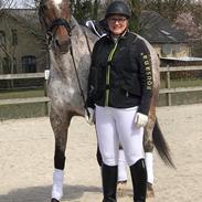 Knabstrupper Kildegårdens Sif - Himmelhest