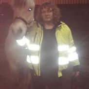 Fjordhest Melvejs Daim