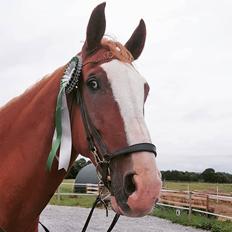 Frederiksborg Onslow