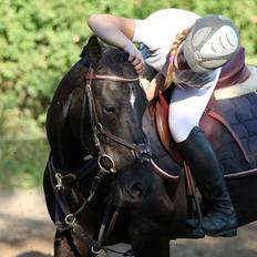 New Forest Skou's alexander