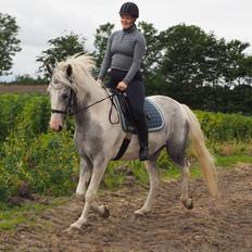 Anden særlig race Bagera
