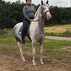 Anden særlig race Bagera