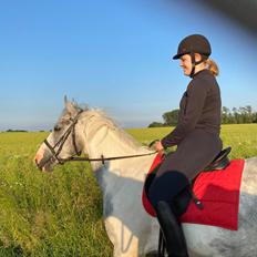 Anden særlig race Bagera