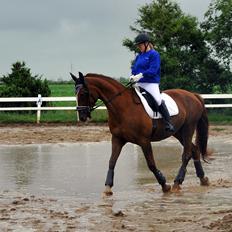 Frederiksborg Vestergårds meleisa