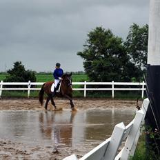 Frederiksborg Vestergårds meleisa