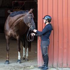 Anden særlig race Lykke-Mai