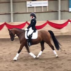 DSP Nørlunds vancouver