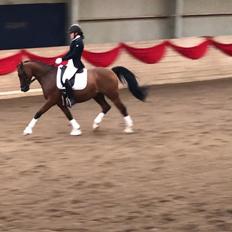 DSP Nørlunds vancouver