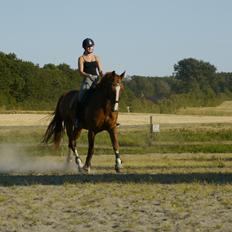 Frederiksborg Hedevangs viva