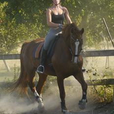 Frederiksborg Hedevangs viva