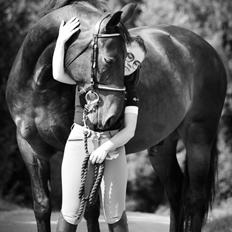 Anden særlig race Nyskovens silas af skovsøgård