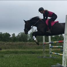 Anden særlig race Starlight