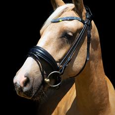 Anden særlig race Trolleys Altivo