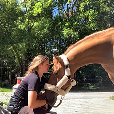 DSP Thorslunds Golden Empire