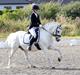 Welsh Pony (sec B) Bakkegaarden's Oliver