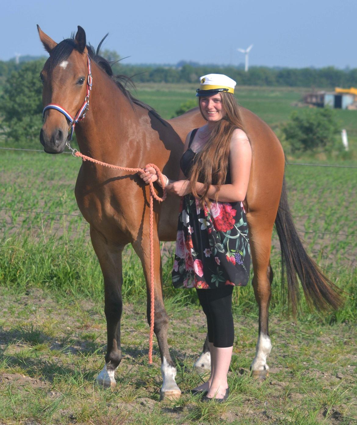 Dansk Varmblod Hedegaardens labaldi billede 18