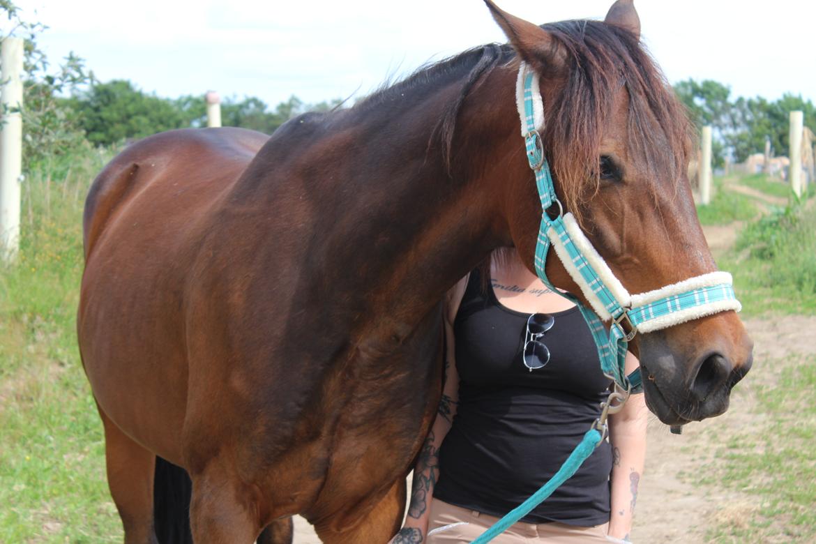 Traver Redford billede 17