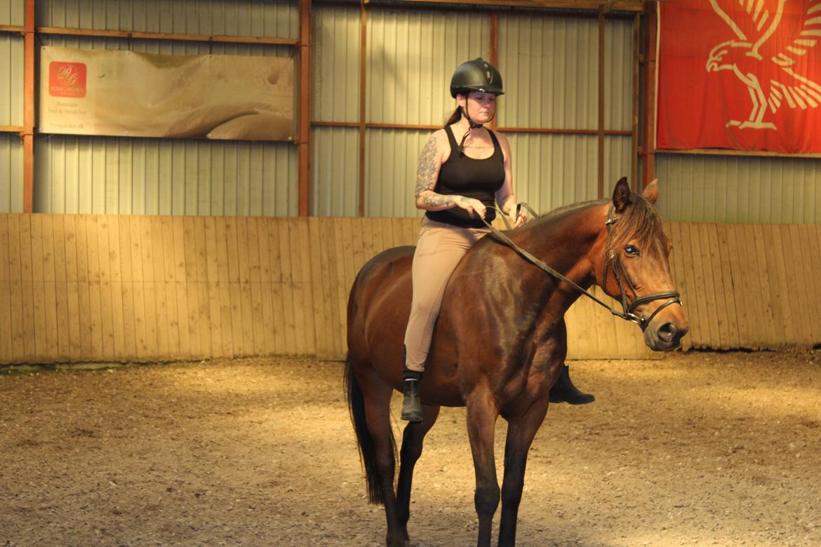 Traver Redford billede 18