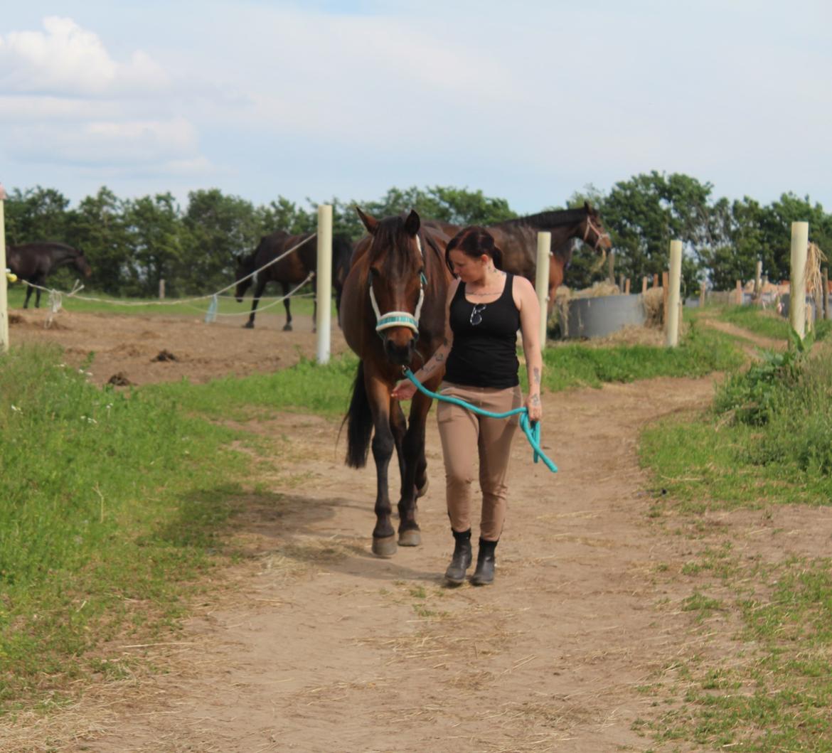 Traver Redford billede 20