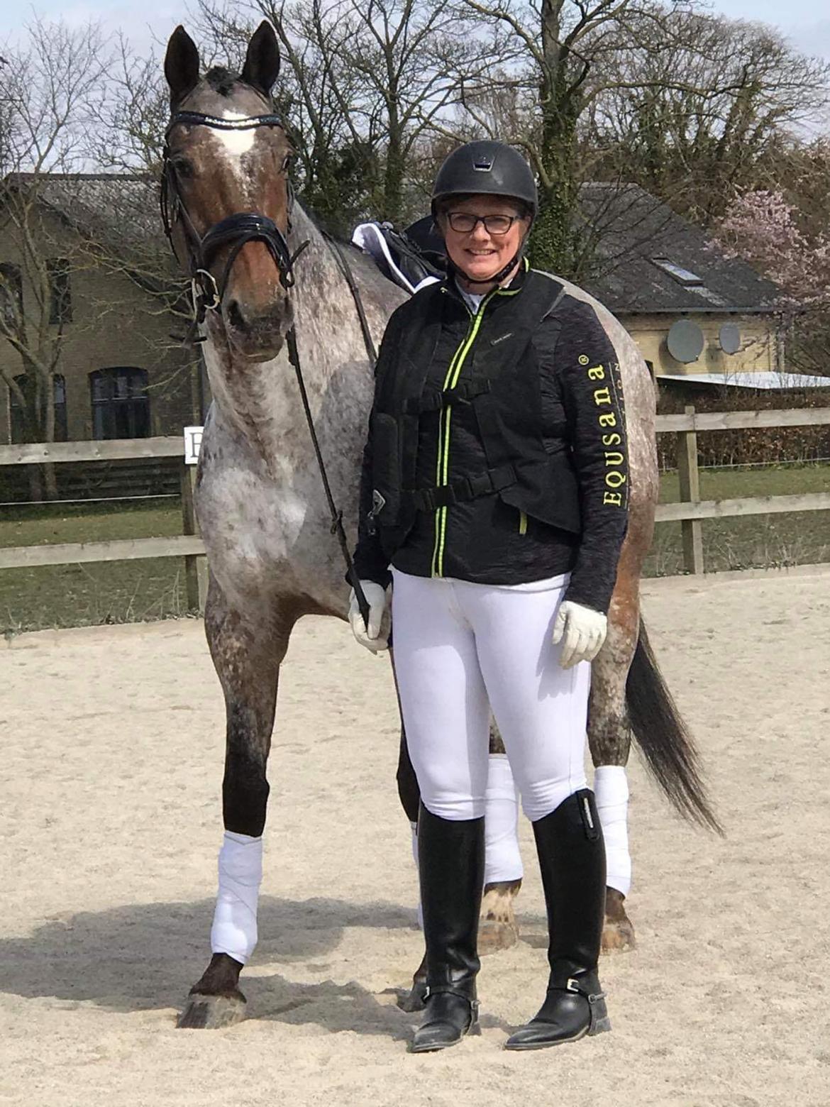 Knabstrupper Kildegårdens Sif - Himmelhest billede 2