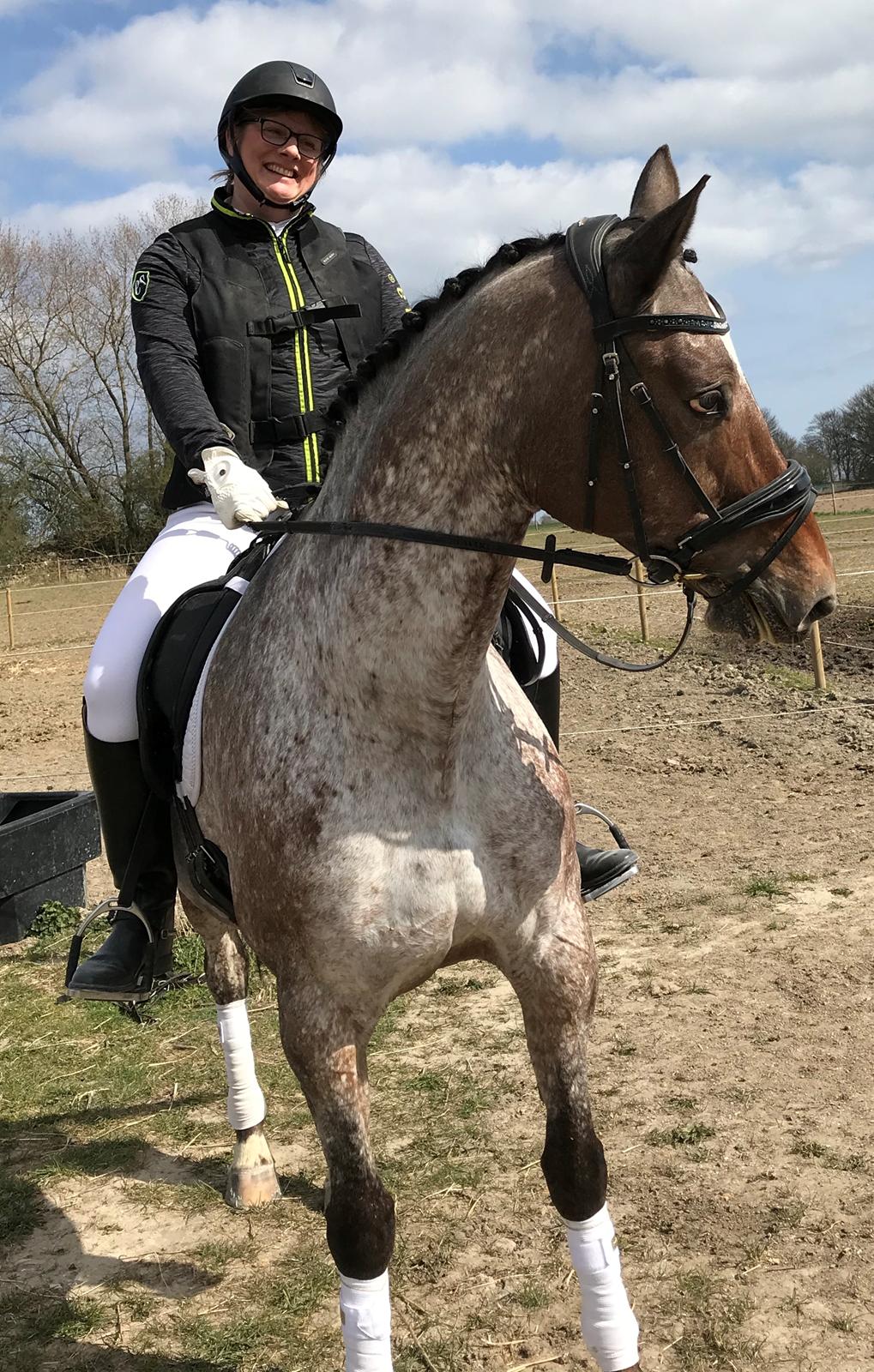 Knabstrupper Kildegårdens Sif - Himmelhest billede 4