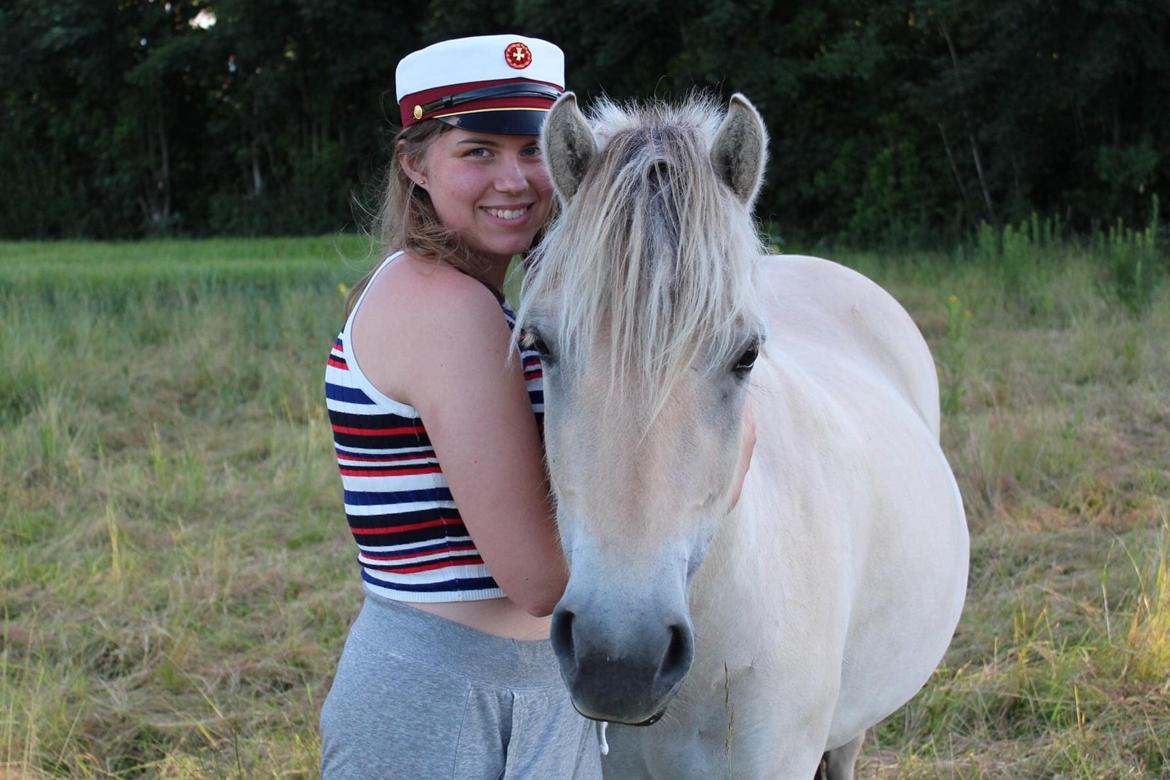 Fjordhest Bellis billede 11