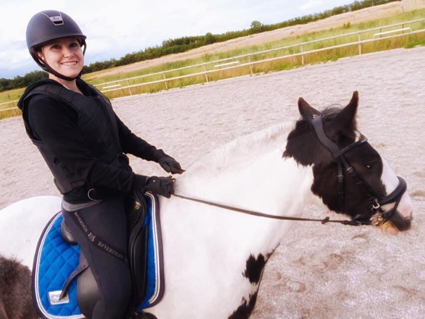 Irish Cob Luna ( Surprice Of Survivor) billede 7