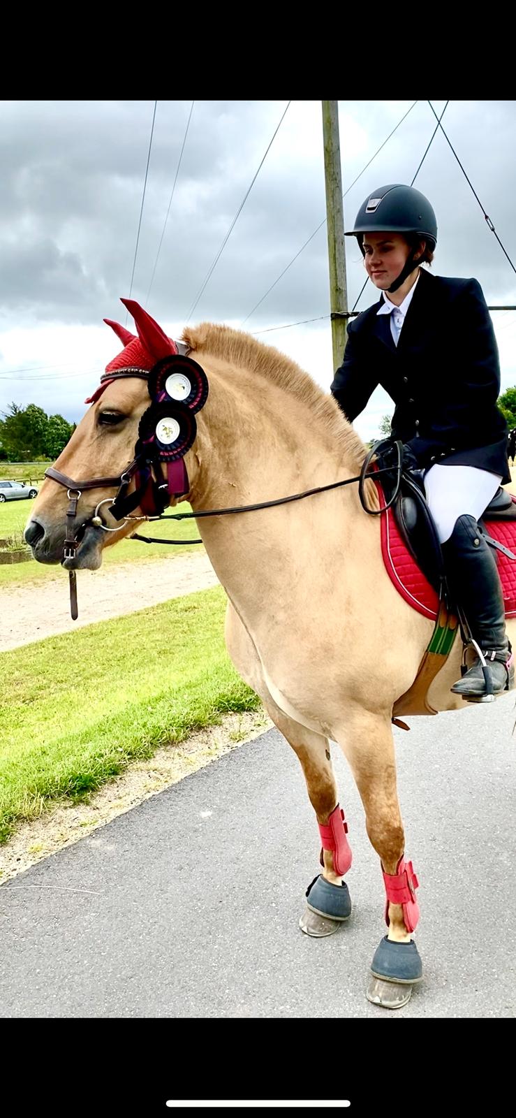 Anden særlig race Adonis billede 9