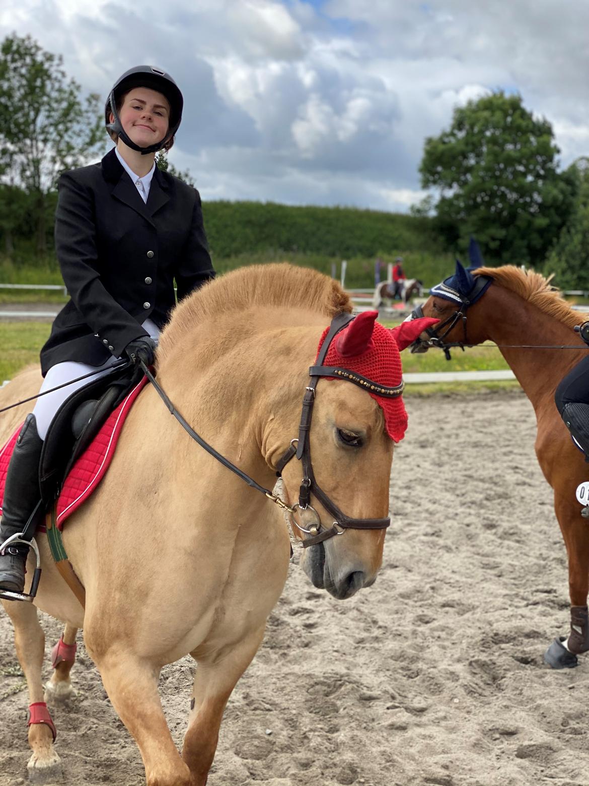 Anden særlig race Adonis billede 13