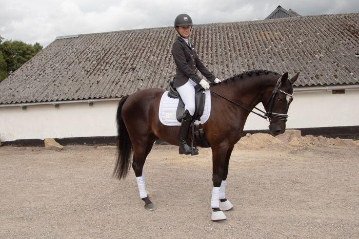 DSP Brilliant-Lau billede 16