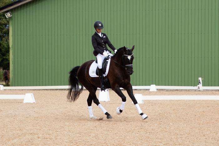 DSP Brilliant-Lau billede 15