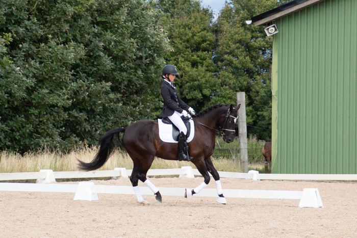 DSP Brilliant-Lau billede 17