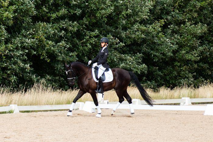 DSP Brilliant-Lau billede 20