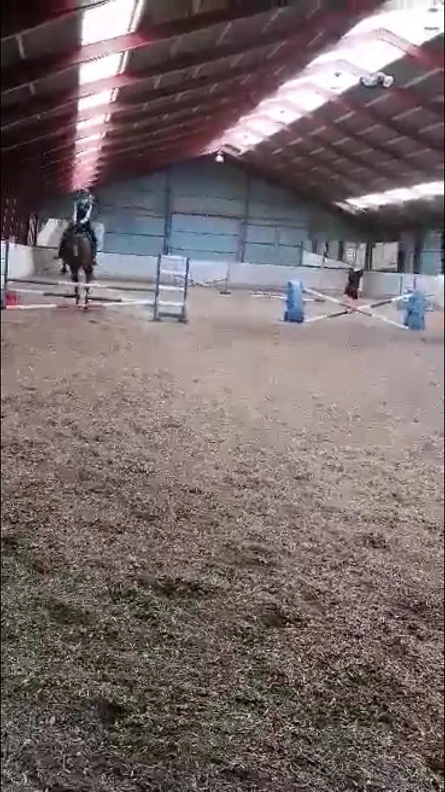 DSP Boliviano (Cas) billede 3