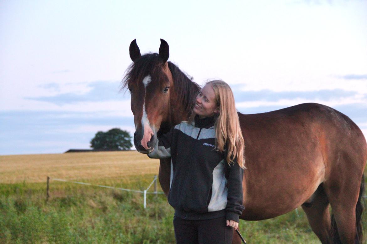 New Forest Bosagergårds Cooper - Juli 2020 billede 16