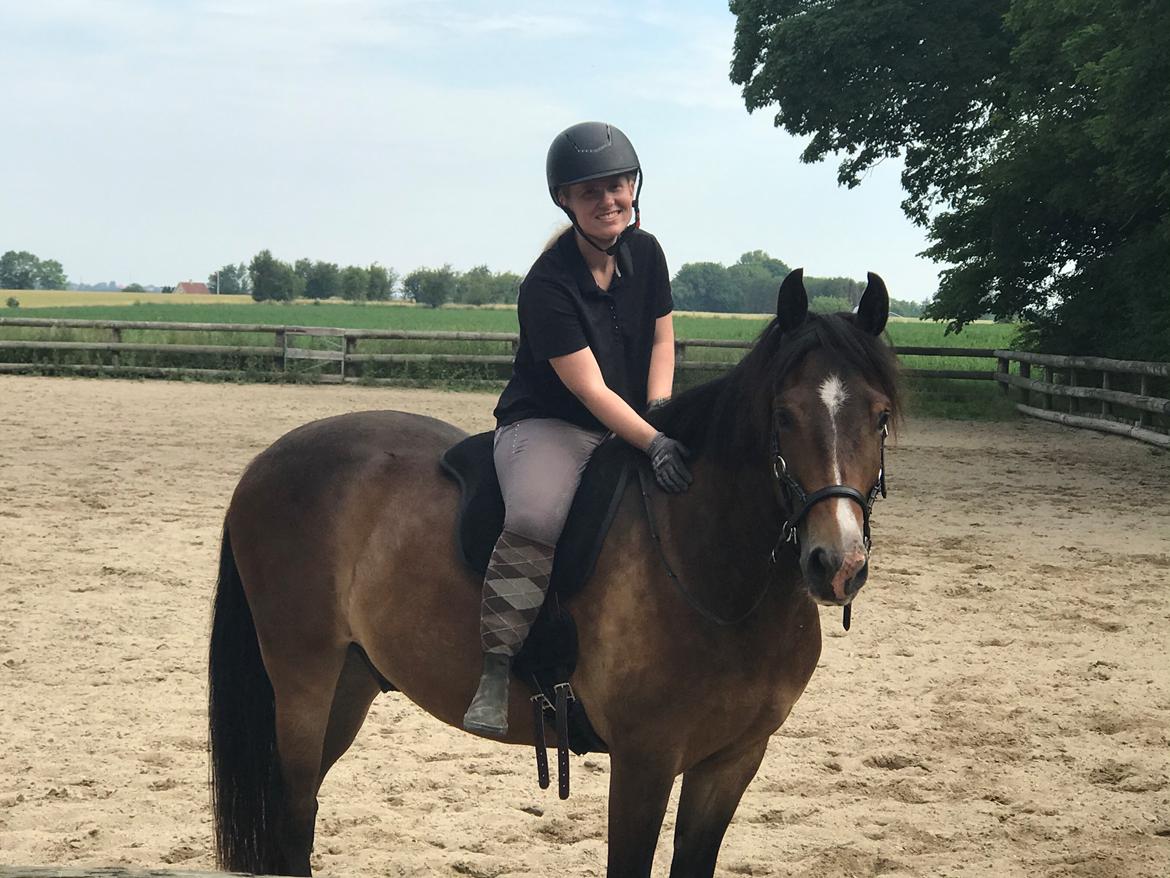 New Forest Bosagergårds Cooper - 27. juni 2020 billede 15