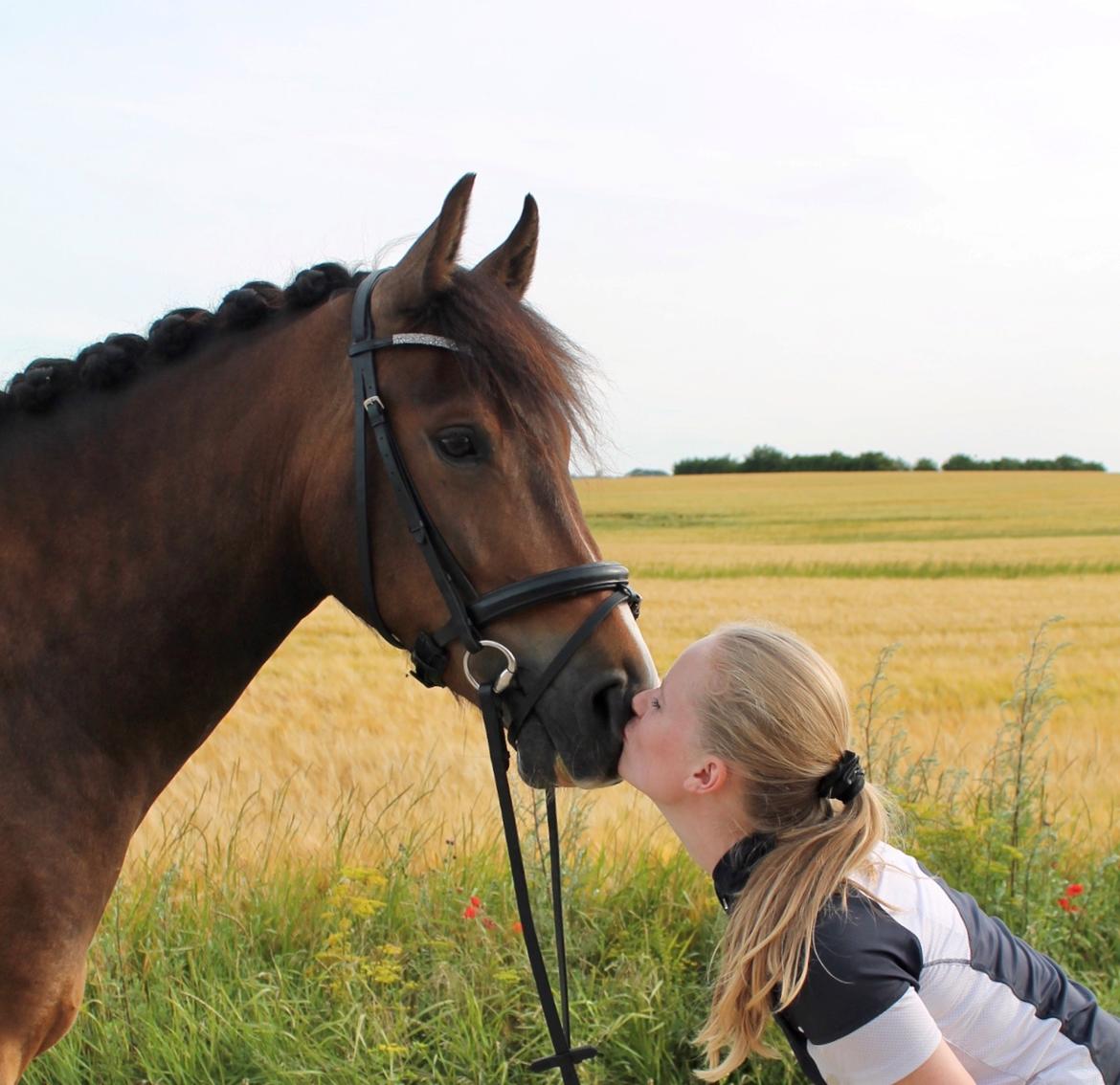 New Forest Bosagergårds Cooper - Juli 2020 billede 1