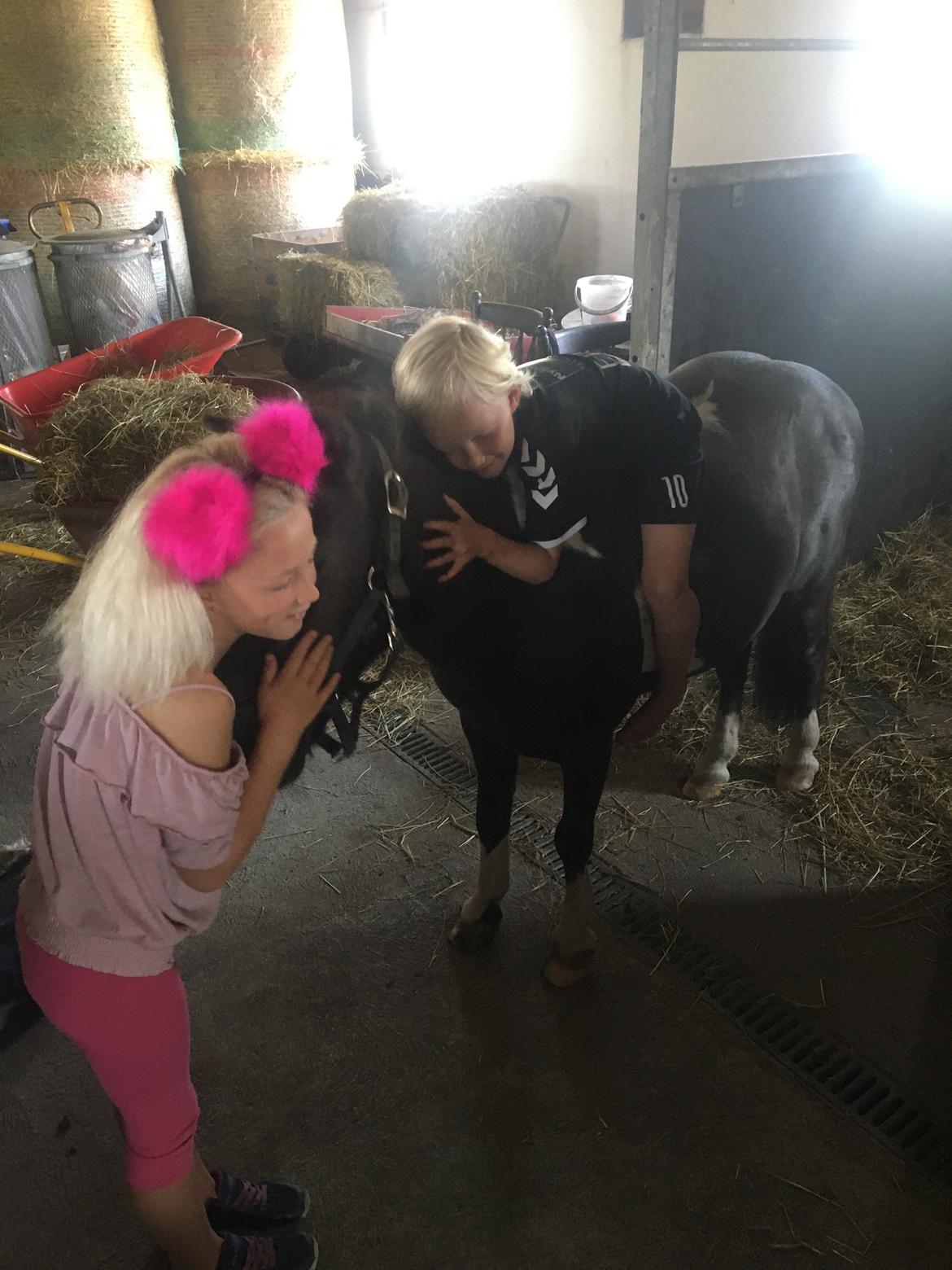 Anden særlig race Filuca  billede 19