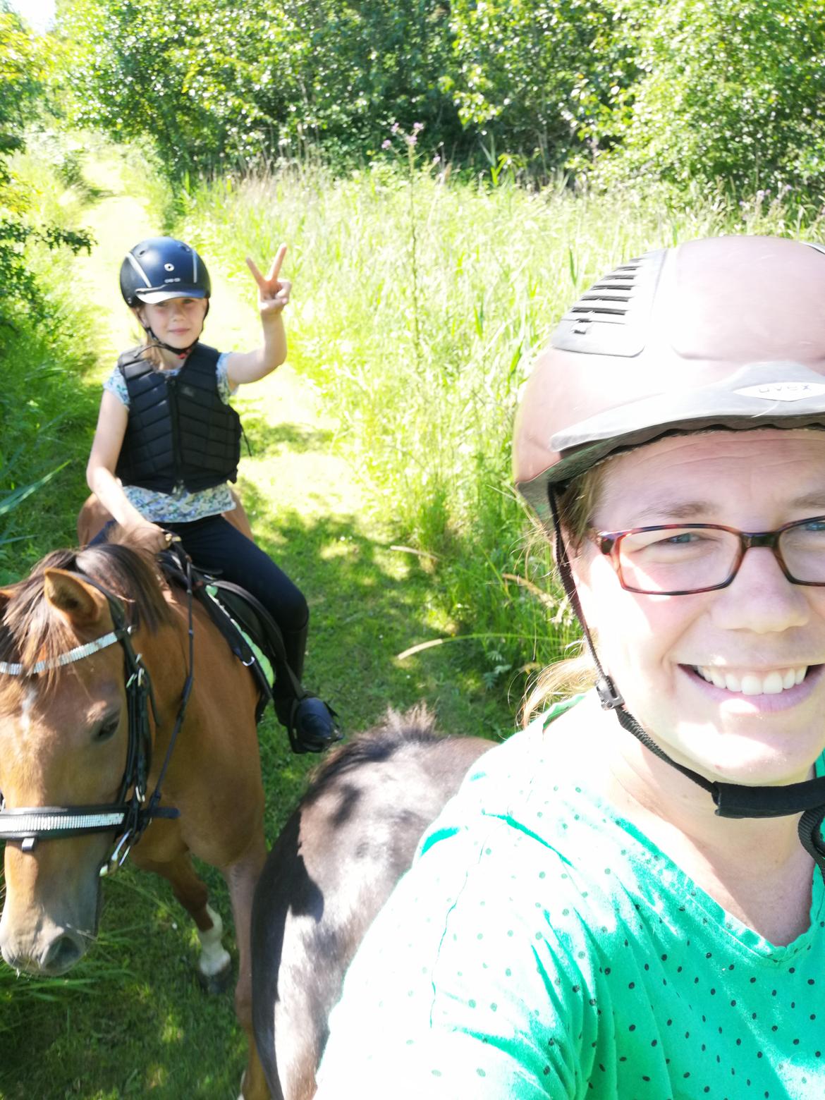 Tysk Sportspony Any billede 18