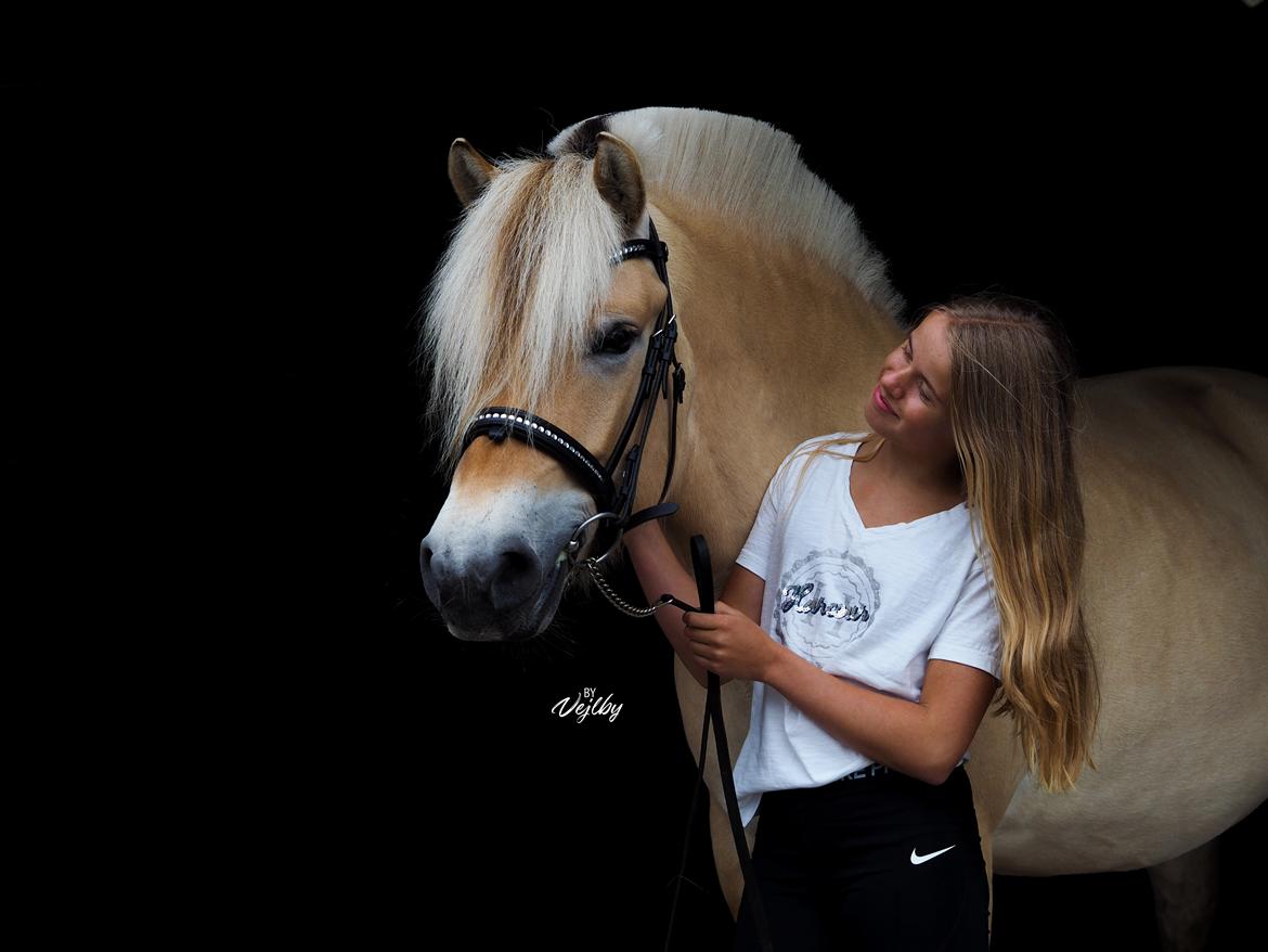 Fjordhest Oblings Frida billede 9